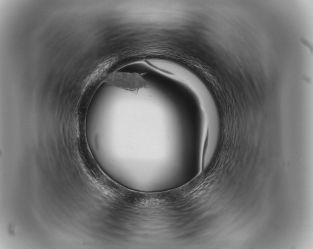 X0000096980734200802221434