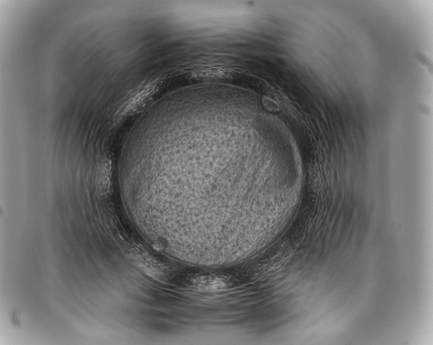 X0000096980735200802221434