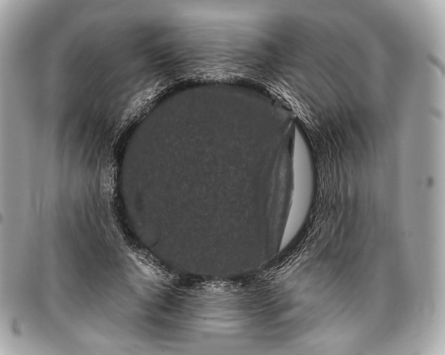 X0000096980736200802221434