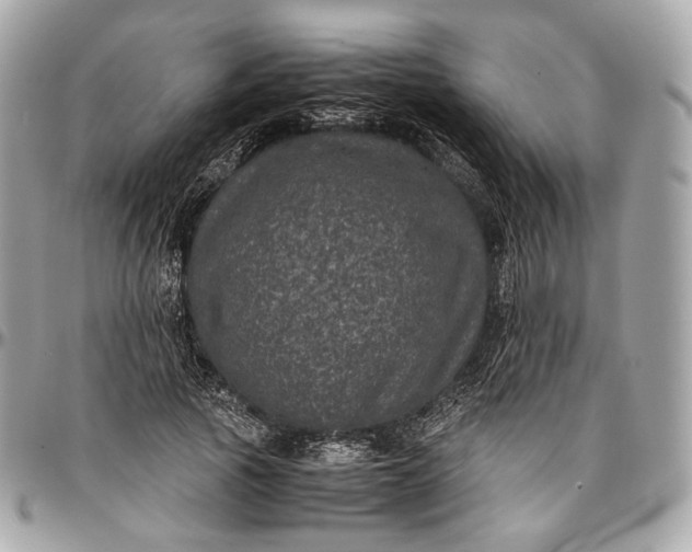 X0000096980737200802221434