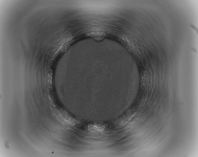 X0000096980739200802221434