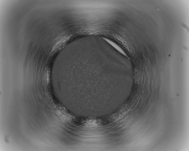 X0000096980740200802221434