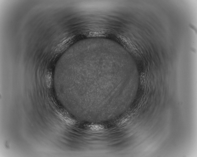 X0000096980741200802221434