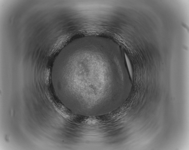 X0000096980742200802221434