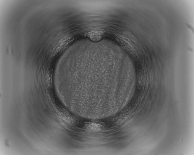 X0000096980743200802221434