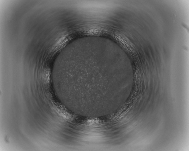 X0000096980744200802221434