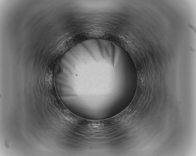 X0000096980745200802221434