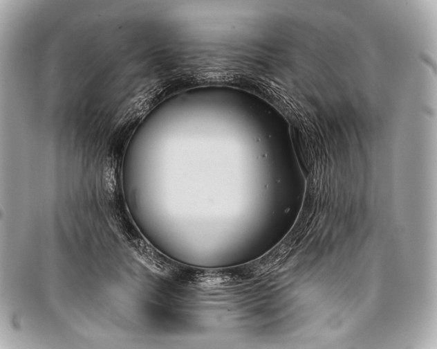 X0000096980746200802221434