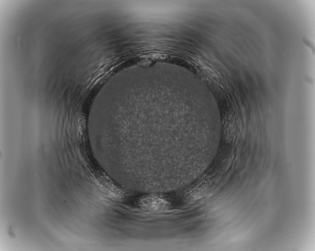 X0000096980747200802221434