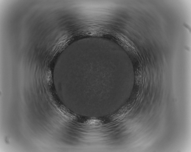 X0000096980748200802221434