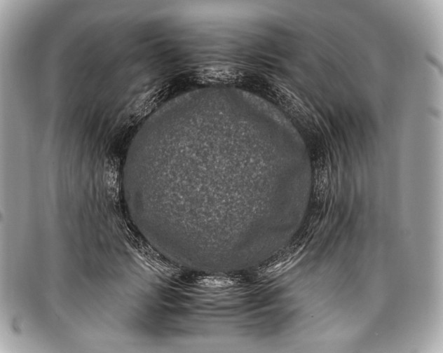 X0000096980749200802221434