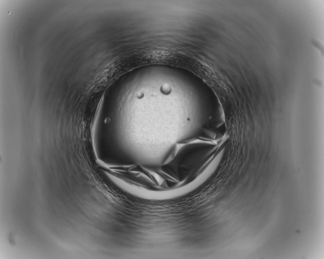 X0000096980750200802221434