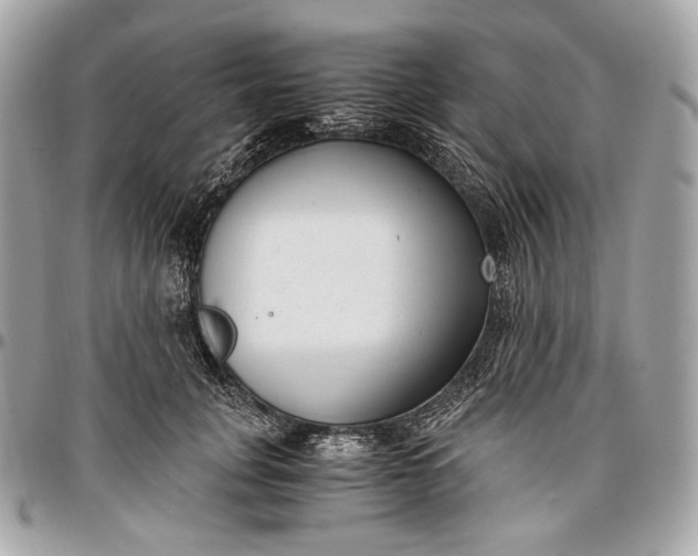 X0000096980751200802221434