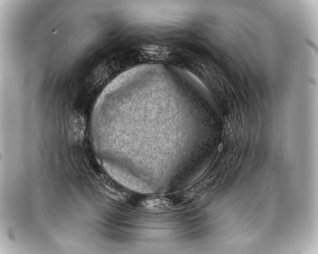 X0000096980752200802221434