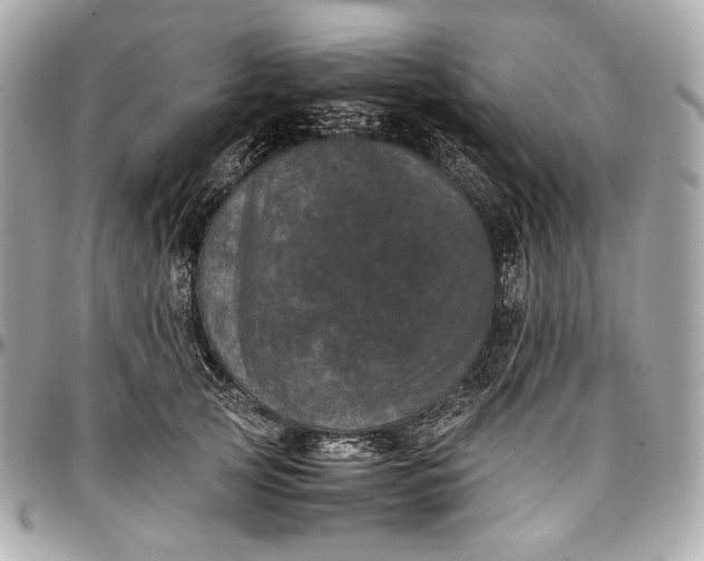 X0000096980753200802221434