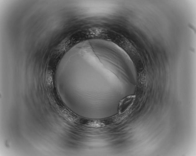 X0000096980754200802221434