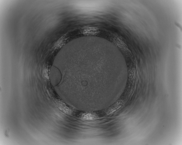 X0000096980755200802221434