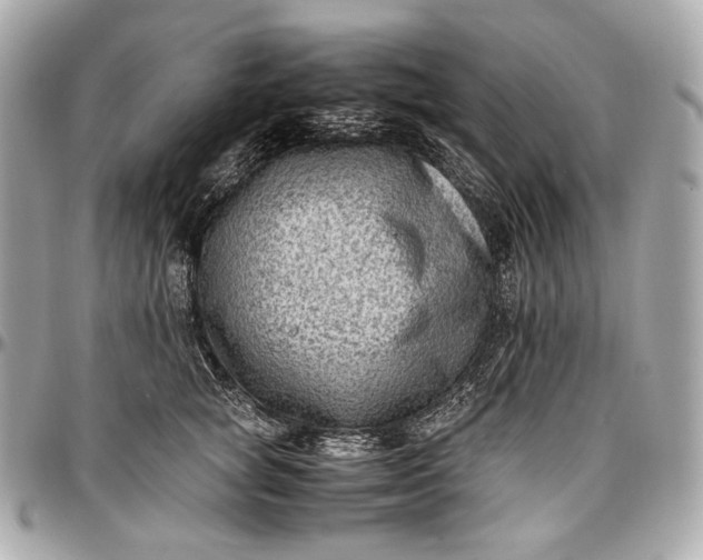 X0000096980757200802221434