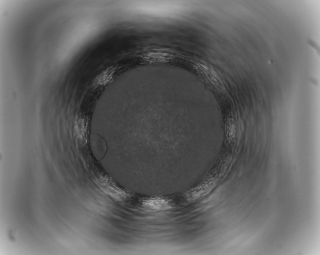 X0000096980759200802221434