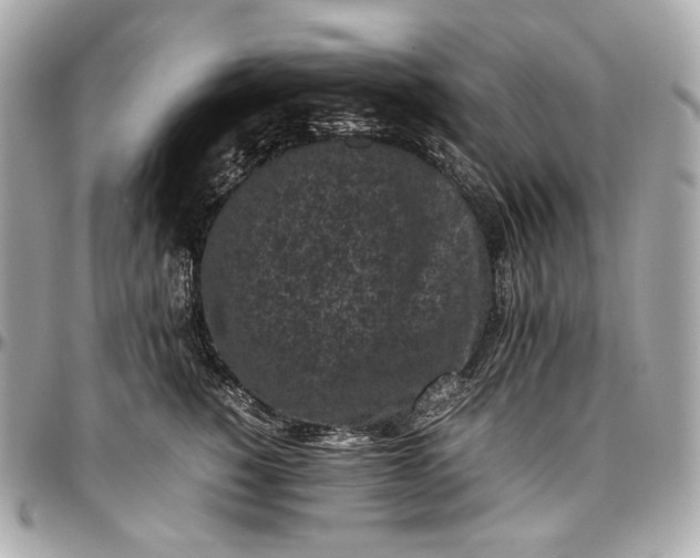 X0000096980760200802221434