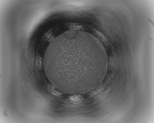 X0000096980761200802221434