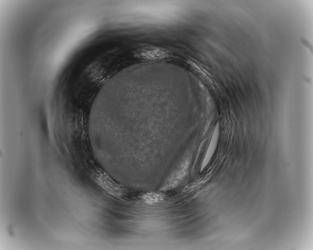 X0000096980762200802221434