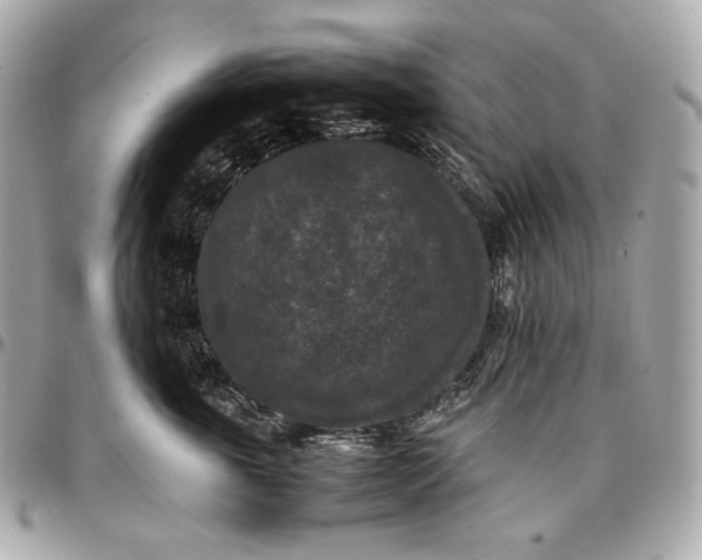 X0000096980763200802221434