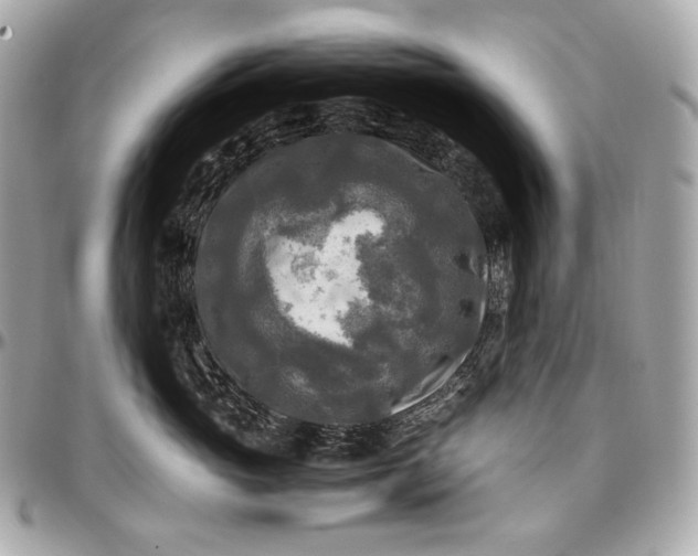 X0000096980765200802221434