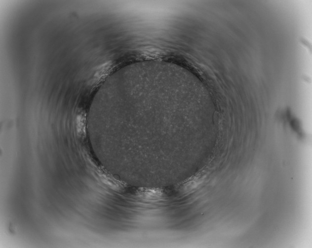 X0000096980768200802221434