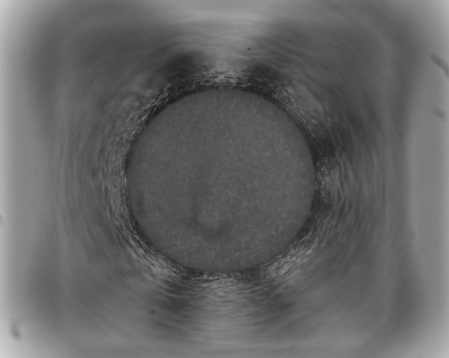 X0000096980769200802221433