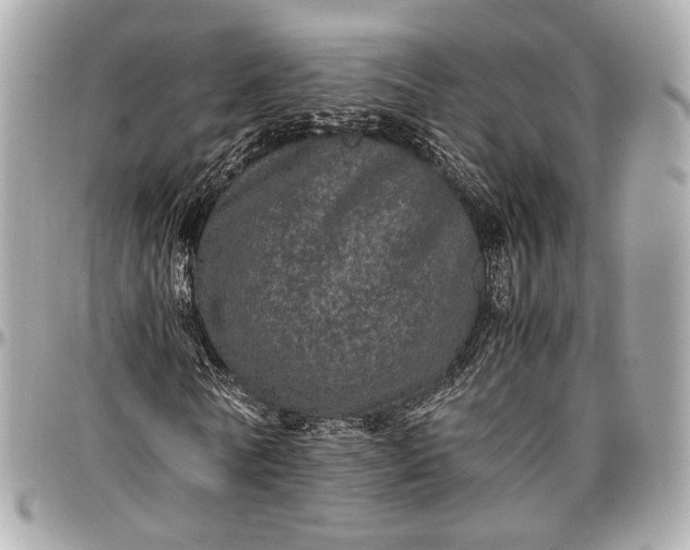 X0000096980770200802221433