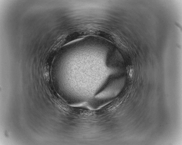 X0000096980771200802221433