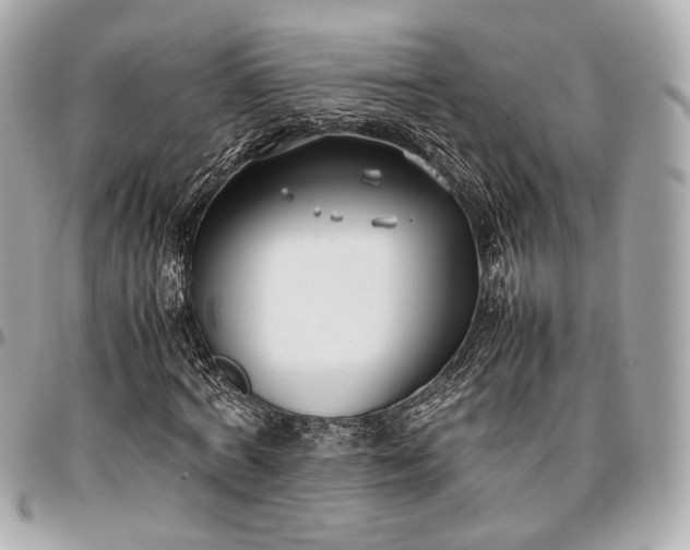 X0000096980772200802221433