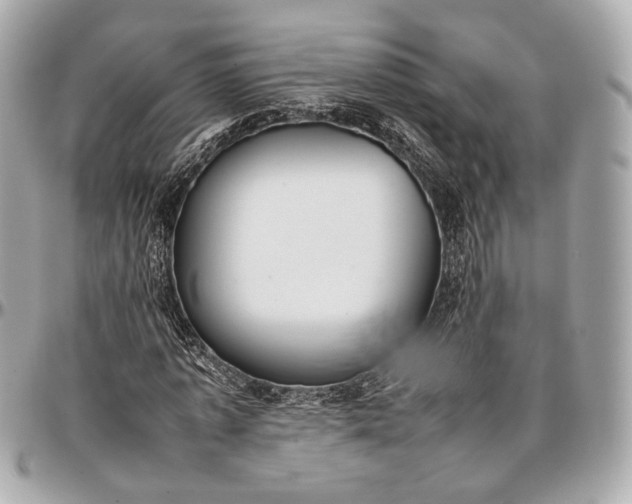 X0000096980773200802221433