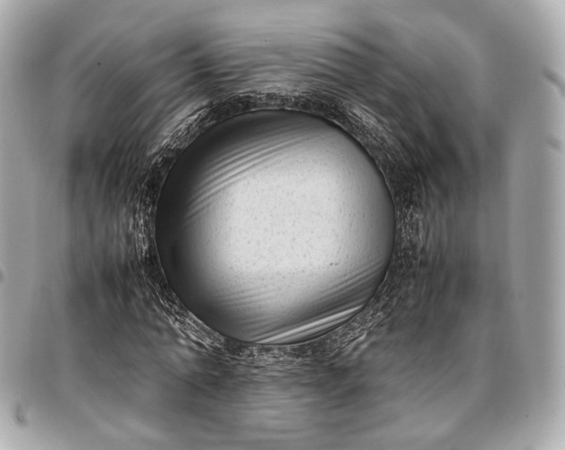 X0000096980774200802221433