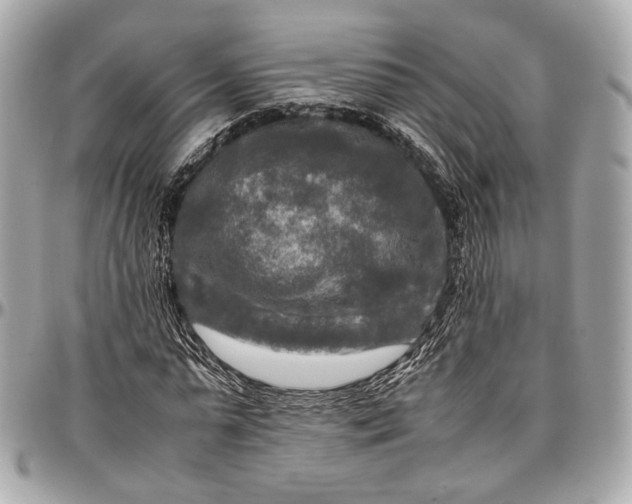 X0000096980775200802221433