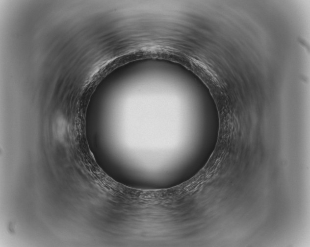 X0000096980776200802221433