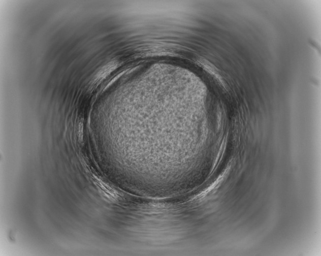 X0000096980777200802221433