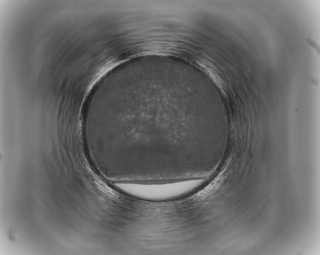 X0000096980779200802221433