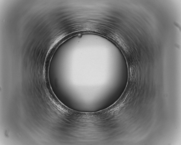 X0000096980780200802221433