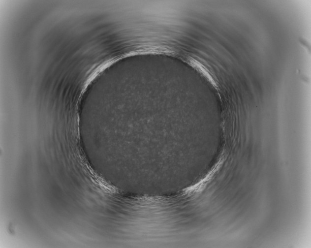 X0000096980781200802221433