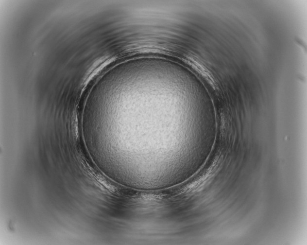 X0000096980782200802221433