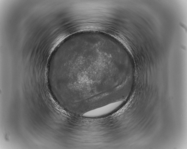 X0000096980783200802221433