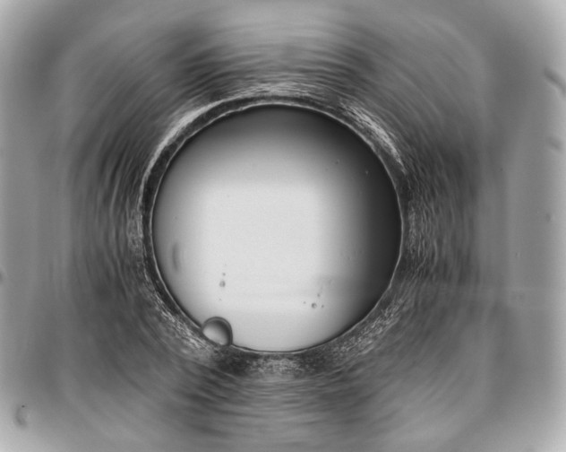 X0000096980784200802221433