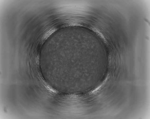 X0000096980785200802221433