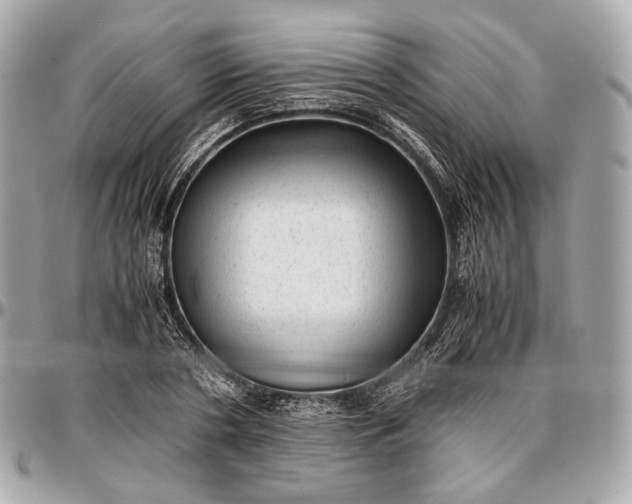 X0000096980786200802221433