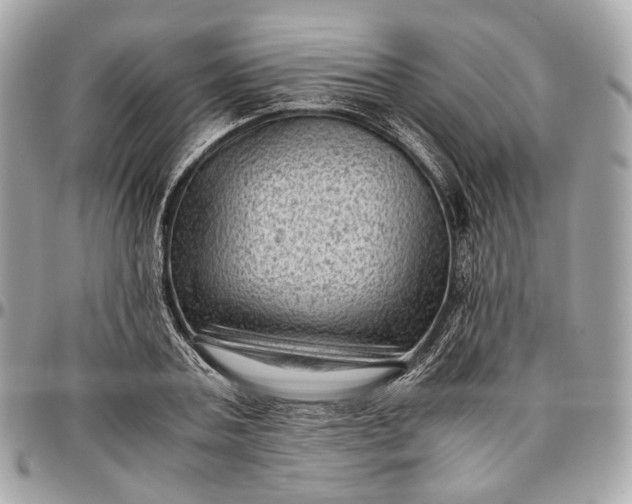 X0000096980787200802221433