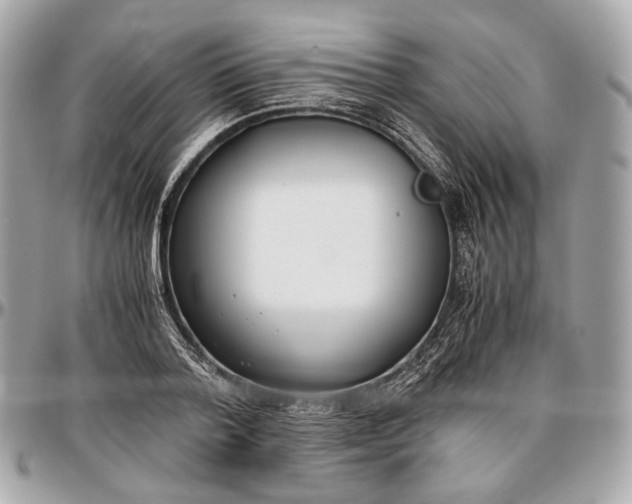 X0000096980788200802221433