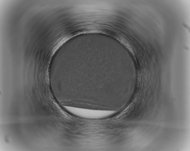 X0000096980789200802221433