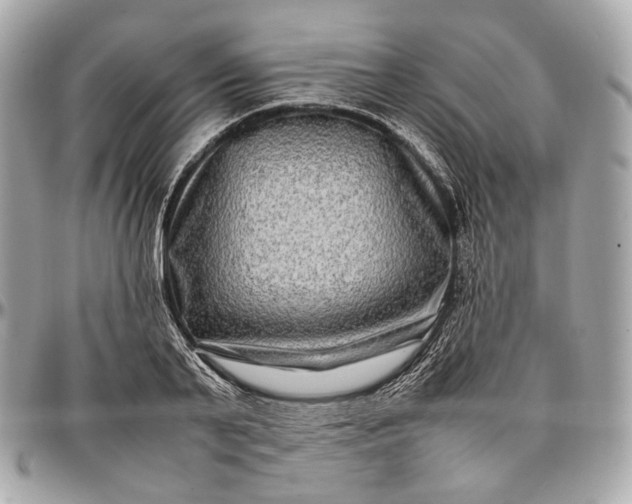 X0000096980791200802221433